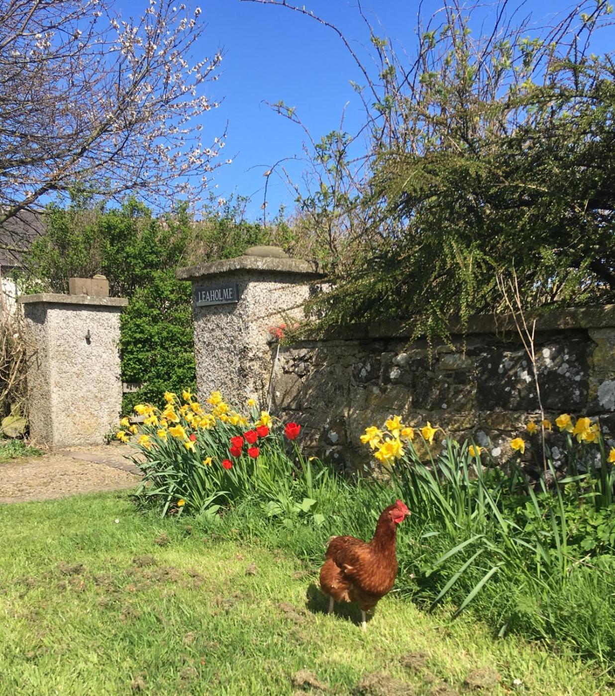Leaholme Cottage - Fabulous Coastal Cottage For 8 Newton-by-the-Sea Esterno foto